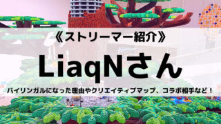 ストリーマーのLiaqNさんとは?バイリンガルになった理由やコラボ相手を紹介