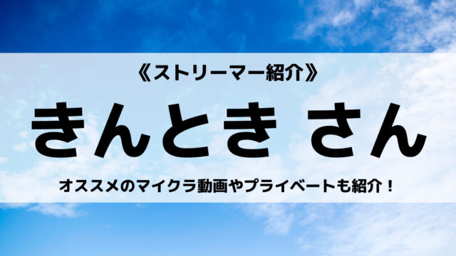 ワイテルズ ヴィレッジヴァンガード パーカー きんとき - その他