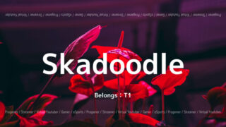 T1のSkadoodle選手について紹介