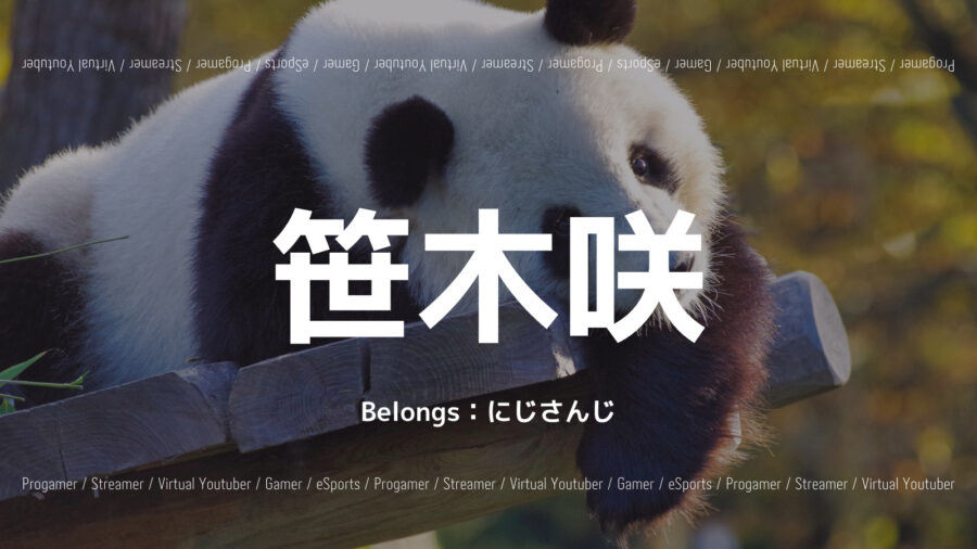 笹木咲のプロフィール！パーカーが大人気？歌ってみた動画も紹介！の画像